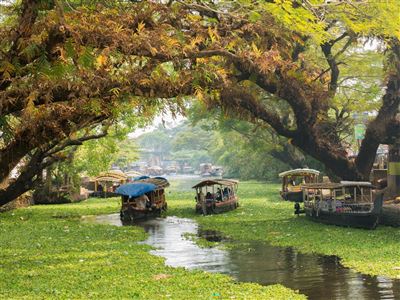 Impressionen aus den Backwaters